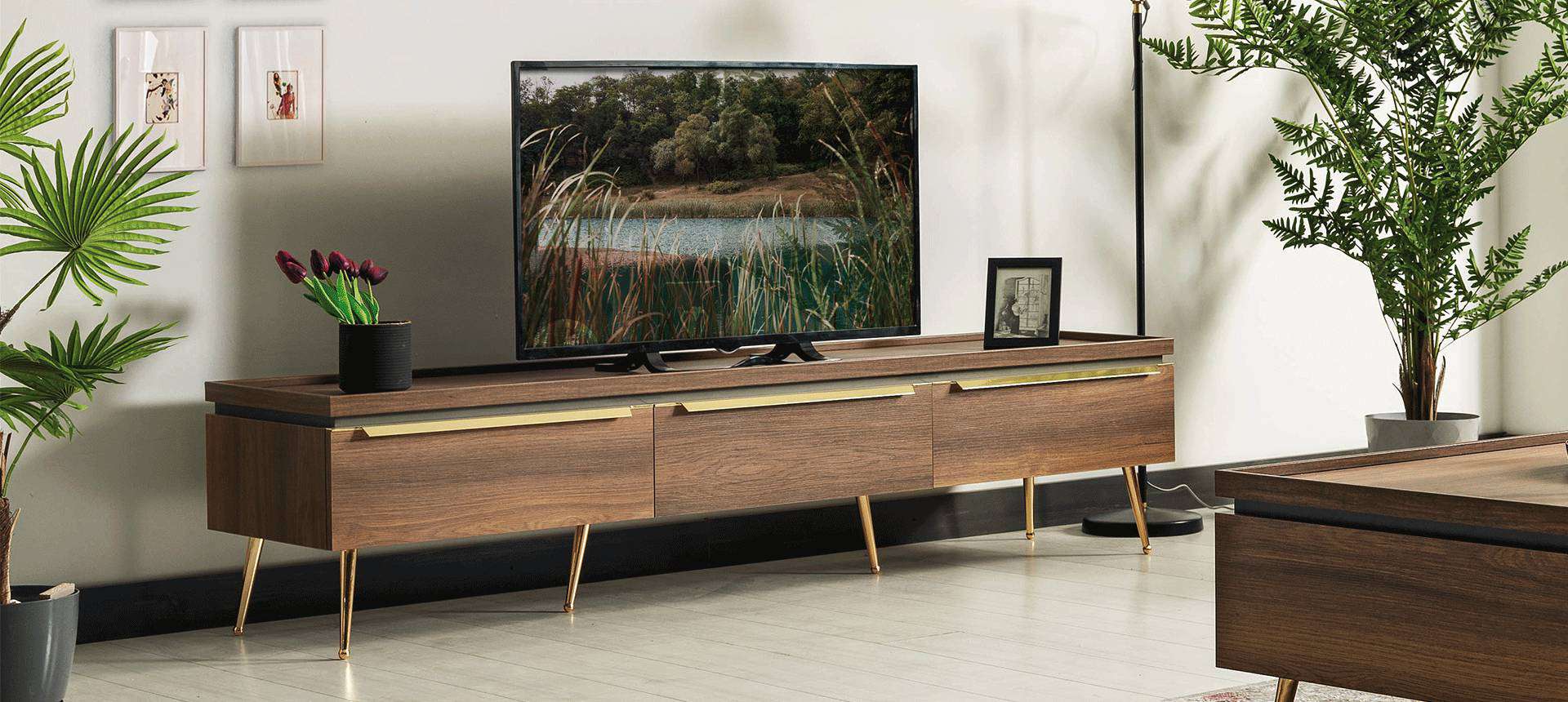 PİETRO TV ÜNİTESİ HAMİLTON CEVİZ / HAMİLTON CEVİZ